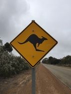 Kangaroo Road Signal