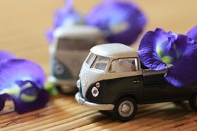 Model Car and flower