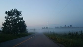 Foggy Road
