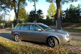 Silver Grey auto in the light near the trees