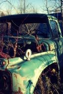 old rusty car in the thicket