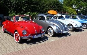 classic vw beetles