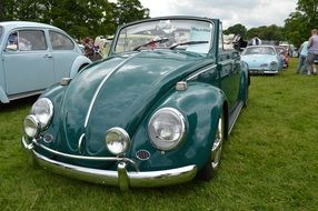 classic Volkswagen beetle like a vintage car