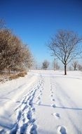 Landscape of Footpath in the snow in Chicago