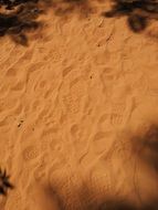 shoe sole prints on brown sand