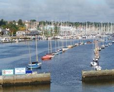 Harbor with yachts