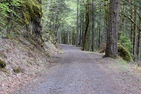 gravel road on a cut shore