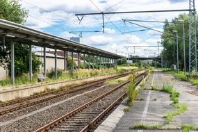 Green grass on the platform of the railway station