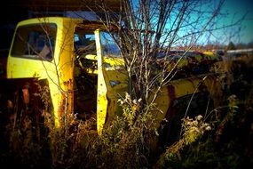 yellow rusty truck among the thickets