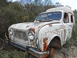 old rusty Renault among weeds