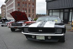 vintage cars at a car show