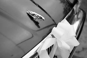 corporate logo on the hood of a jaguar car