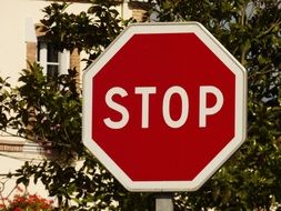 road stop sign near green tree close-up