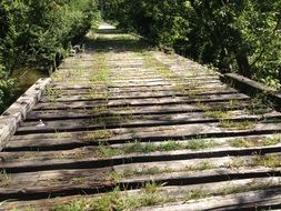 Green grass on the railway