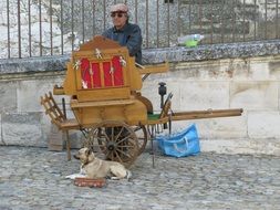 Provence street musical Artis and dog