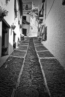 cobbled narrow street in black and white image