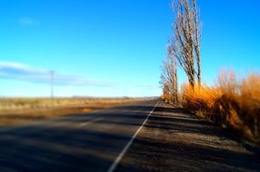 autumn road in argentina