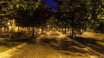 night photo of paved road