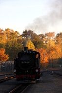 steam train on a narrow gauge railway in autumn