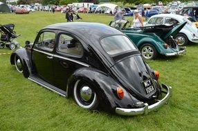 vintage multi-colored cars beetles on an open air show