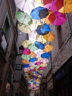 lot of colorful Umbrellas above narrow Street
