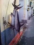 swordfish as a catch in southern Italy