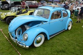 multi-colored retro cars beetles on a green lawn at the exhibition