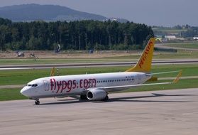 Colorful Pegasus Boeing 737-800 aircraft