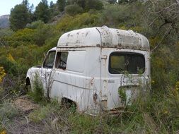 abandoned white car among green grass