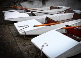 Punts in the water