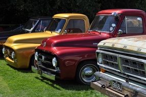 variety of retro cars on green grass