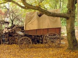 covered wooden wagon