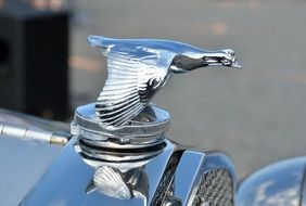 silver bird on vintage car close-up
