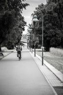 Black and white photo of the avenue with the lanterns