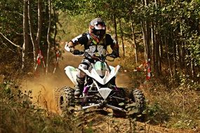 motocross competitions on a bright ATV the forest