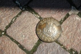 emblem on the pavement in the municipality of Bardolino