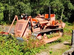 Excavator stands on the green grass