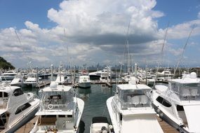Panama Yacht Sea Port Sailboat