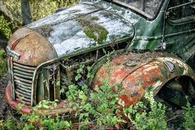 Truck Broken in forest