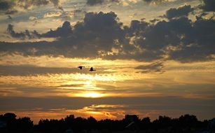 Evening Silhouette