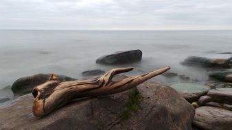 Wood and stones on the seaside