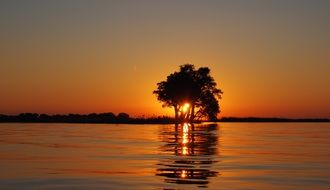 Sunset behind Trees at Water