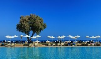 photo of the hotel pool, sunbeds and umbrellas
