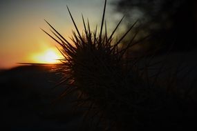 Northeast Dry Sunset