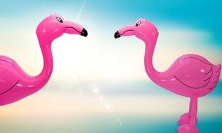 two Flamingos, pink balloons