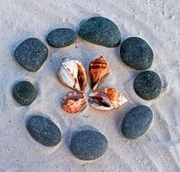 Flat Stones and seashells on the Beach