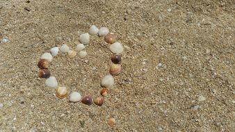 Picture of Shells are lying is a shape of heart