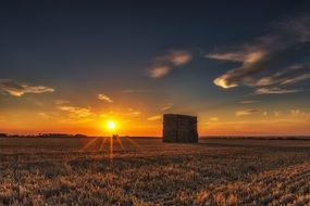 sunset on the background of a field with wheat