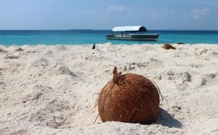 landscape of Coconut on the sandy beach at the background of the boat in a sea