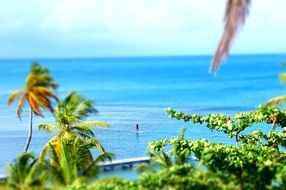 Surf Water